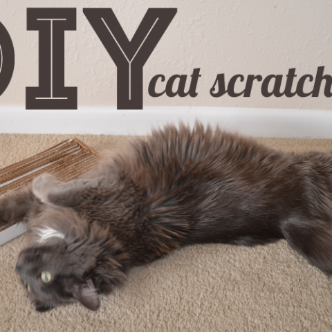 Cat Scratch Pad