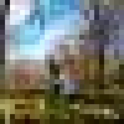 How To Make A No-Sew Pet Bed