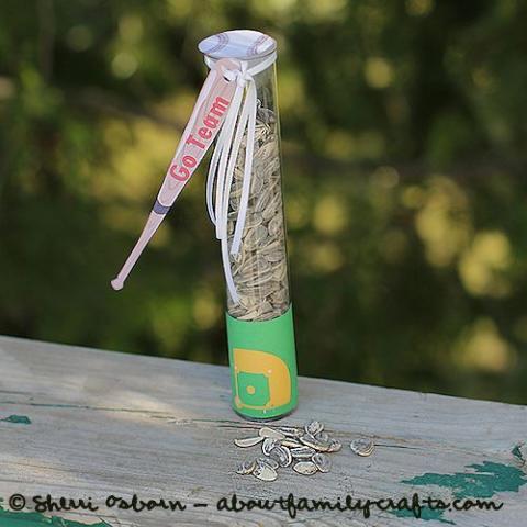 Go Team Baseball Party Favor