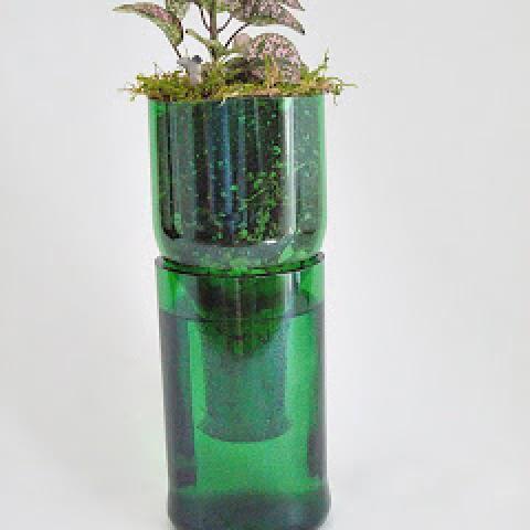 Wine Bottle Vase