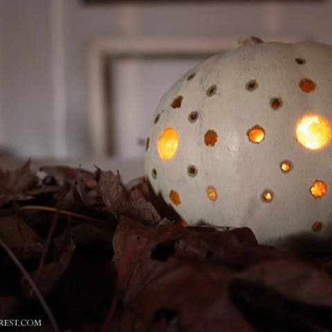 Starry Night Pumpkins
