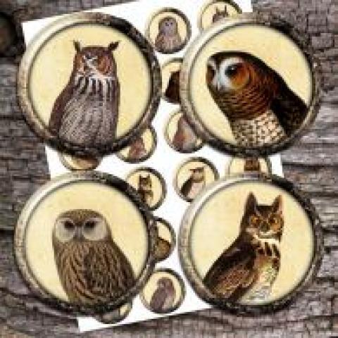 Bottlecap4u Digital collage sheets