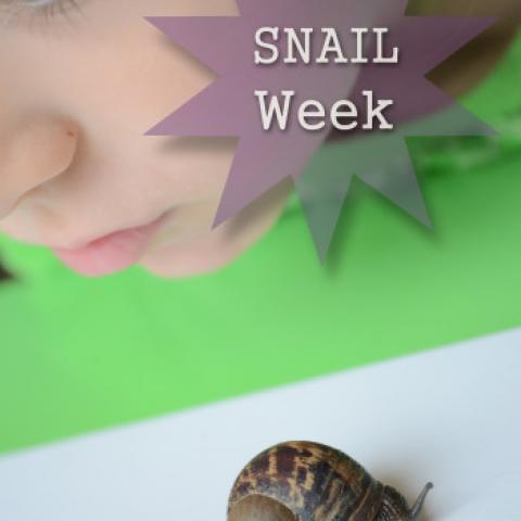 Snail Week
