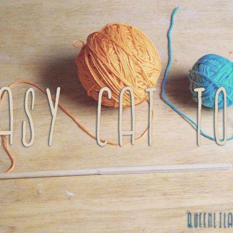 Easy Cat toy