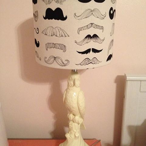 Put A Moustach On A Bird Lamp