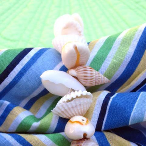 Sea Shell Napkin Ring