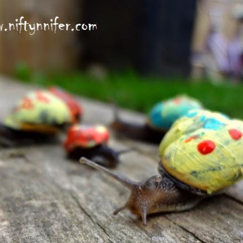 Snails Craft!