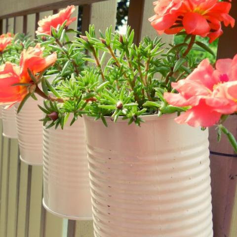 Vertical Tin Can Planters