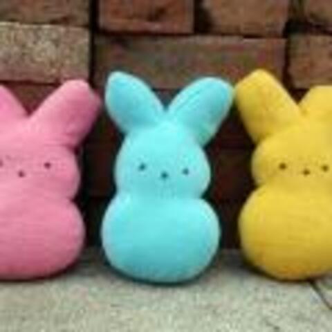 Marshmallow Bunny Plushies