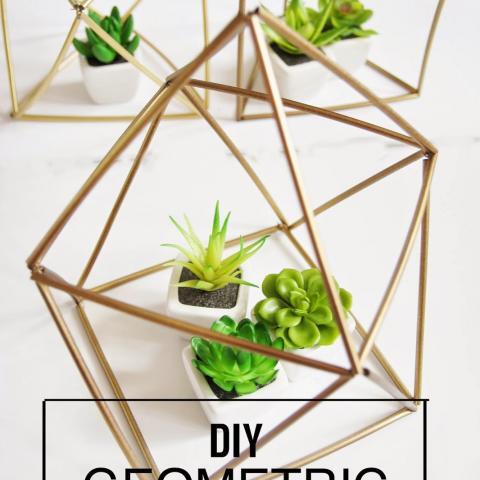 DIY Geometric Planters