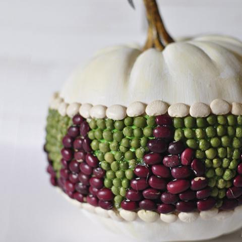 Bean Pumpkin