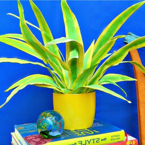 Fabulous Fabric Plant DIY