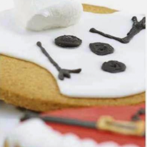 Festive Iced Christmas biscuits