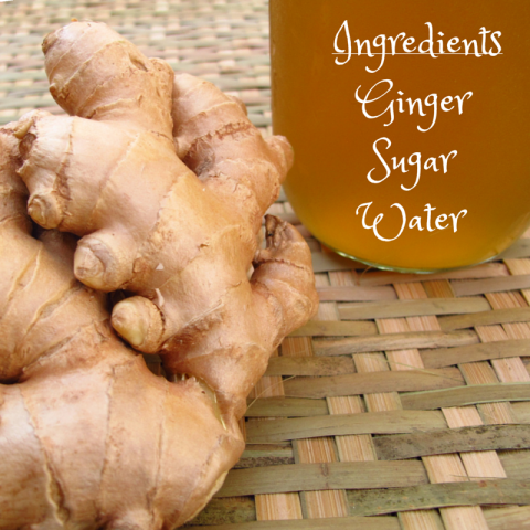Homemade Ginger Syrup | Kiku Corner