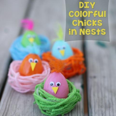 Colorful Chicks in Nests