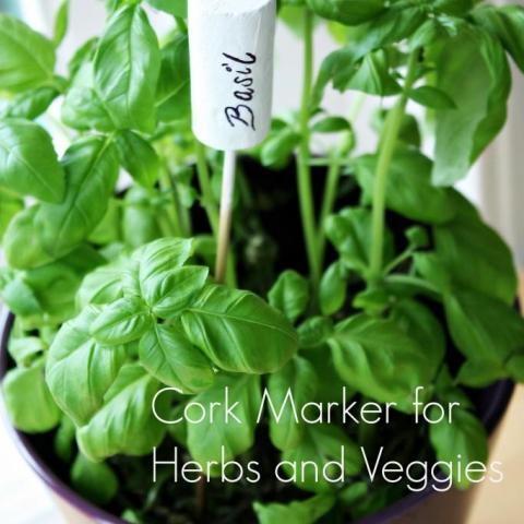 DIY Cork Marker for Herbs and Veggies