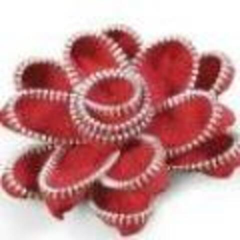 Zipper Flowers