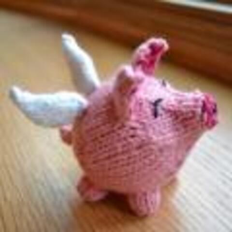 Flying Pig