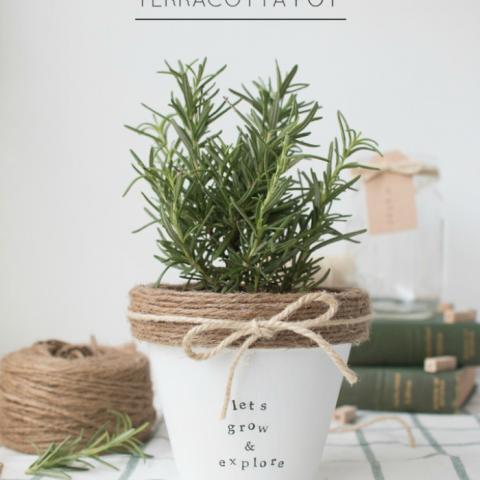 Painted Terracotta Pot