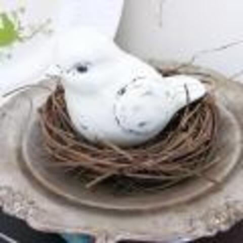 Thrifty Bird's Nest