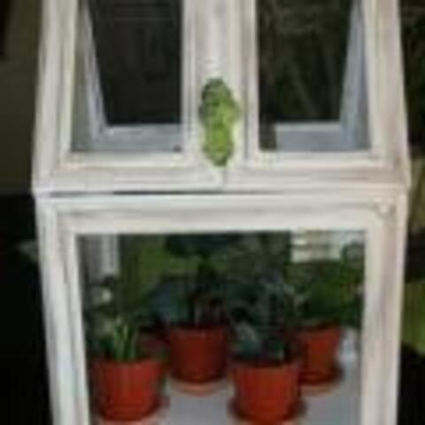 Picture Frame Terrarium