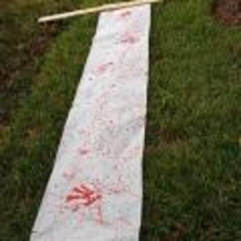 Blood Splattered Windows