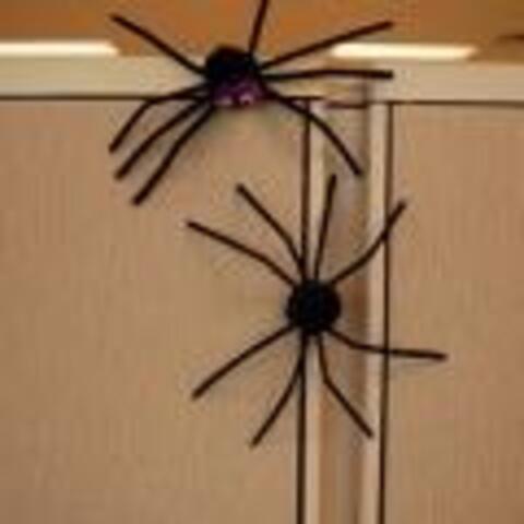 Creepy Spiders