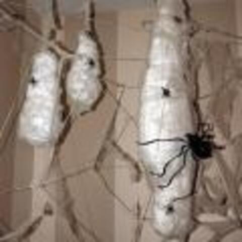 Lifeside Spider Web with Webbed Accessories