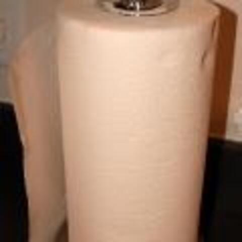 Skeleton Paper Towel Cap