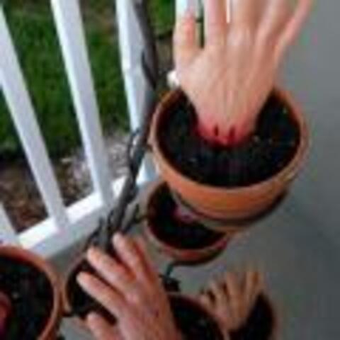 Halloween Zombie Planted Hands