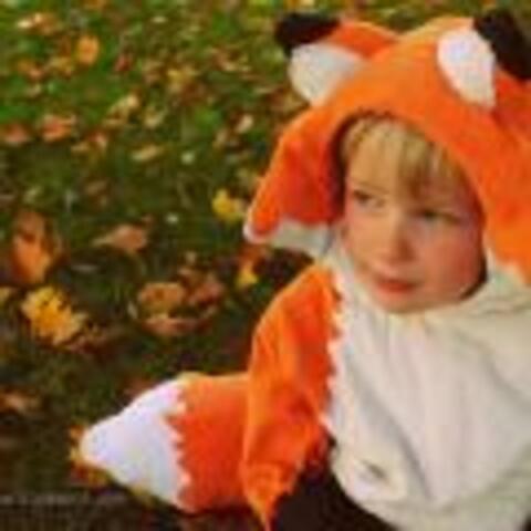 Fox Costume