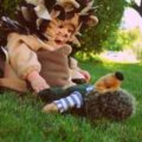 Hedgehog Costume
