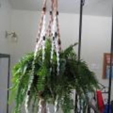Macrame Plant Hanger