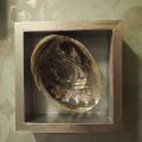 Shell Shadow Boxes