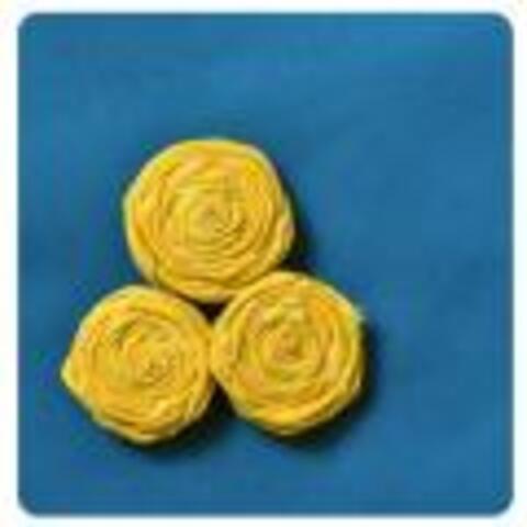 Rolled Fabric Flowers
