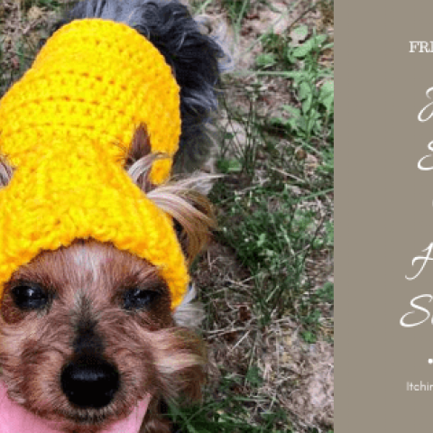 Small Dog Hoodie Sweater