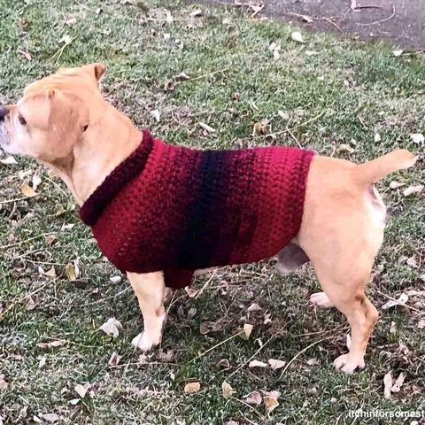 Quick & Easy Medium-size Dog Sweater