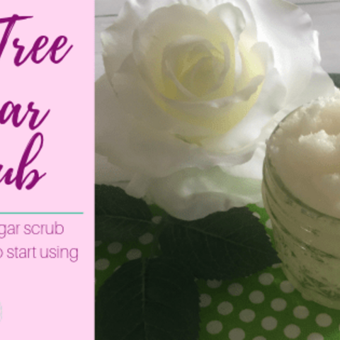 Tea Tree Sugar Scrub