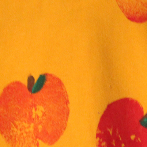 Felicity Fox Inspired Apple Print Hoodie