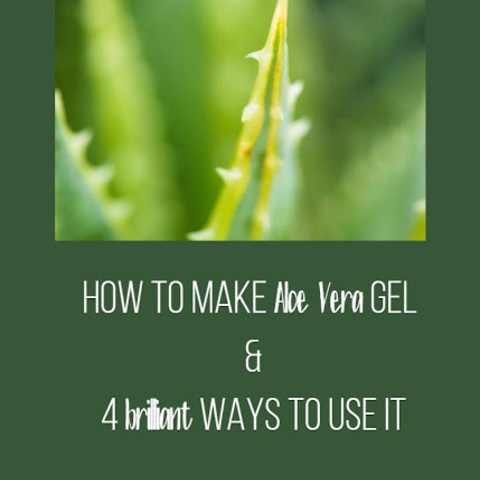 DIY Aloe vera gel
