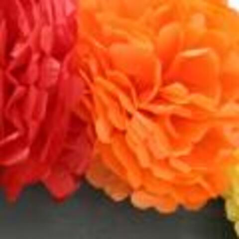 How to make Tissue Paper Flowers