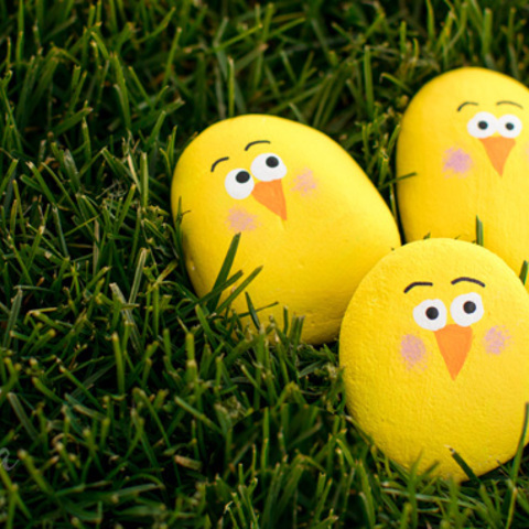 Painted Rock Chicks