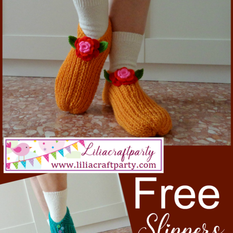 Lucilu Slippers Shoes