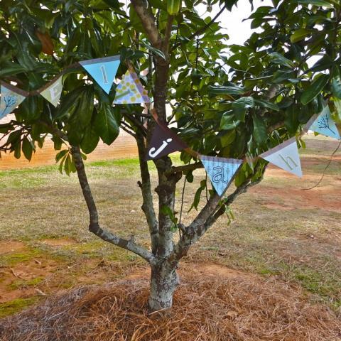 Vintage Personalized Banner