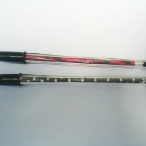 Personalized BiC Pen