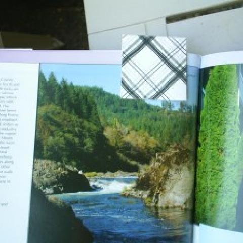 Magnetized Bookmarks