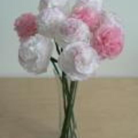 Tissue Paper Carnations