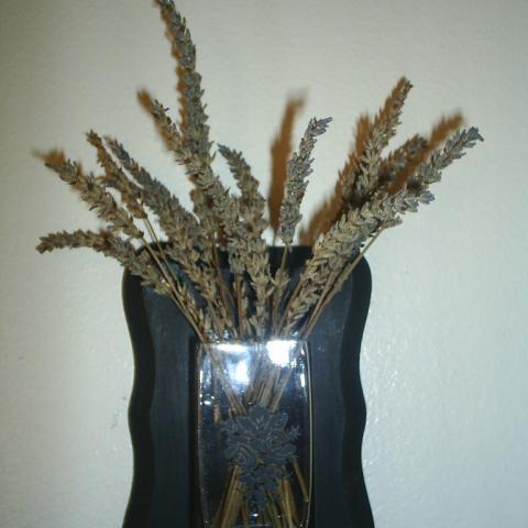 Wall Vase