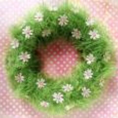 Spring Baby Grass Wreath