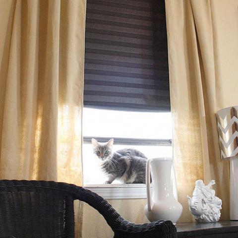 $10 a Window No Sew Curtains